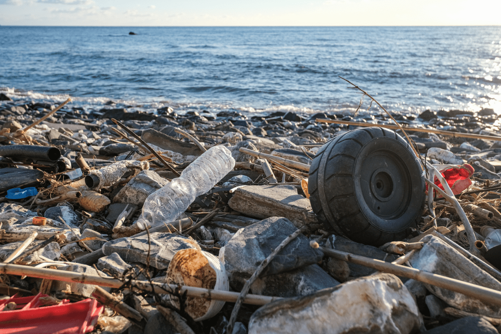 Plastic Clothes You're Likely Wearing Them Right Now and It's BAD Lexy Silverstein
