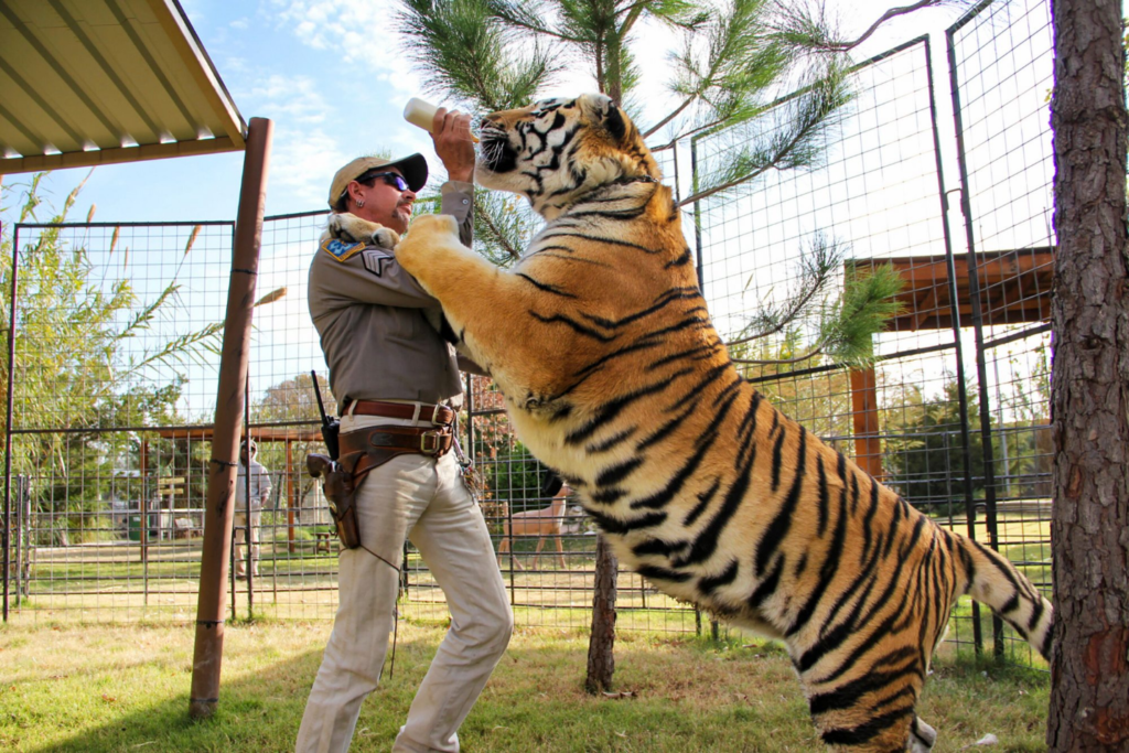 A screenshot from Tiger King