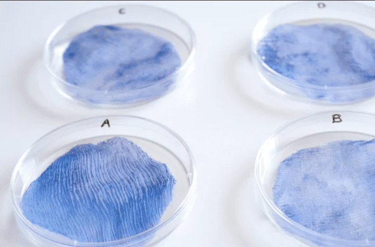 Biodegradable Fabrics; Clothing of the future LEXY SILVERSTEIN ELEXYFY.COM