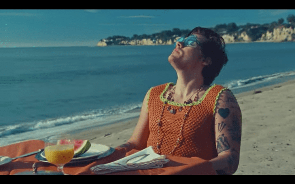 Harry Styles wearing a crochet top