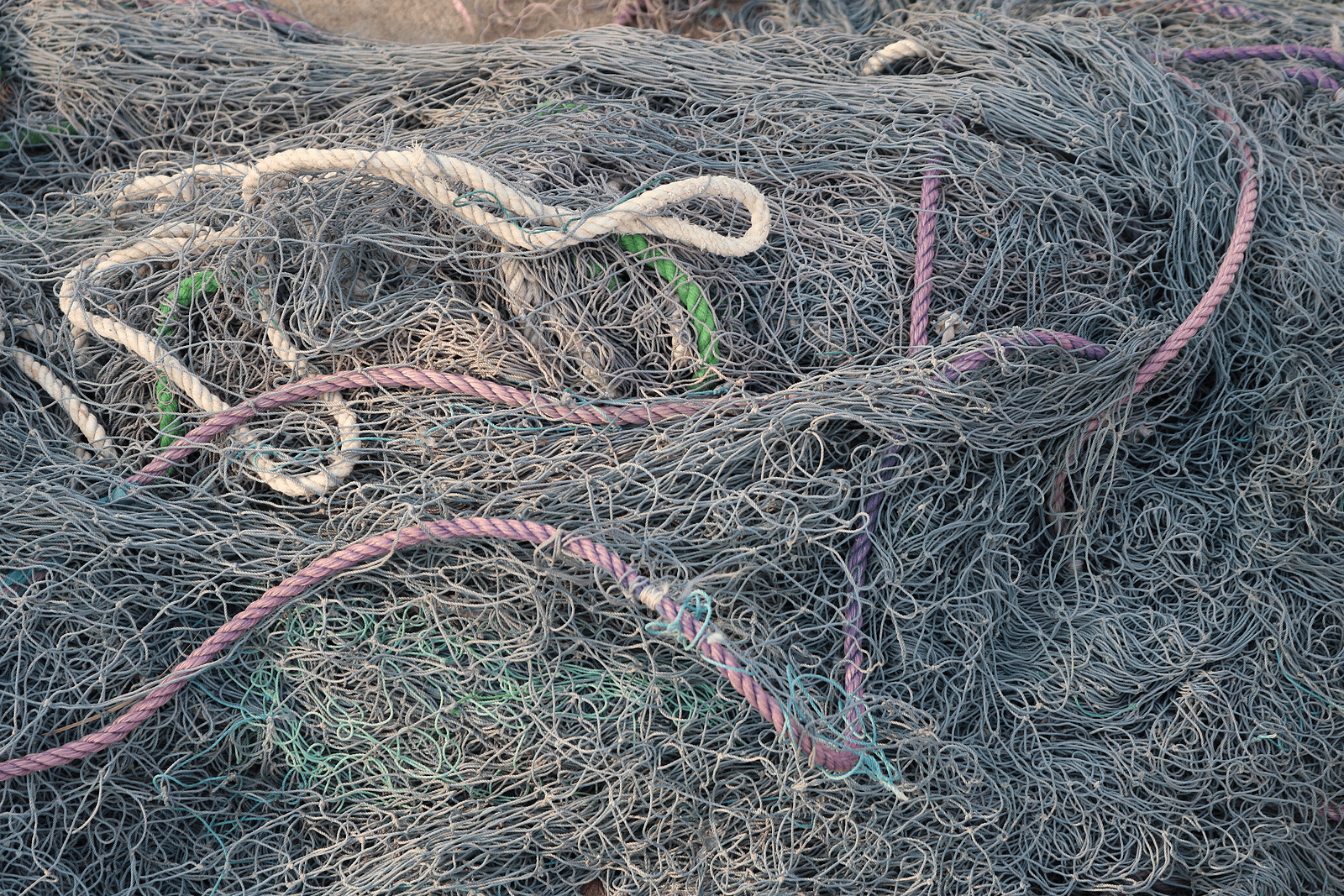 Plastic waste in the ocean is one of the most pressing environmental issues of our time. According to recent research, between 1 and 2 million tons of plastic enter the ocean every year, causing irreparable damage to marine ecosystems. A big part of that problem comes from discarded fishing nets, which the UN Environment Programme reports make up around 10% of all ocean plastic. These nets are dangerous for marine life, often trapping animals and creating "ghost nets" that continue to harm the environment for years.